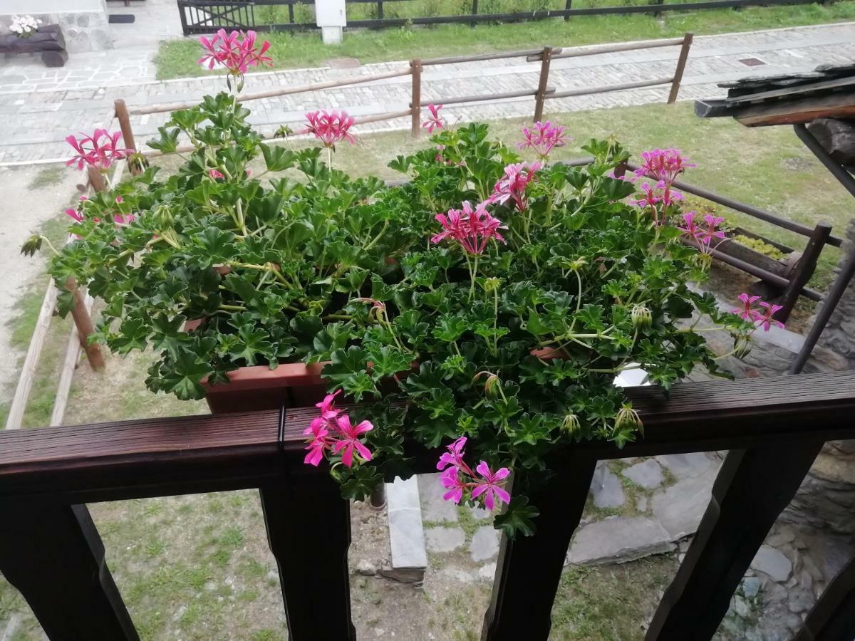 Maison Cenne Vda Gressan N 0030 외부 사진